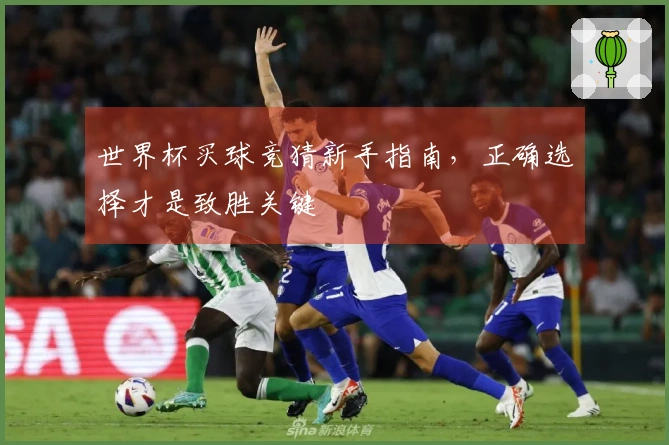 世界杯买球竞猜新手指南，正确选择才是致胜关键