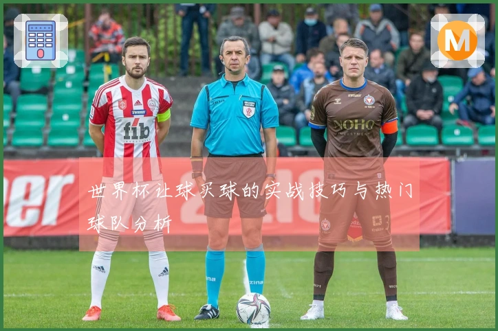 世界杯让球买球的实战技巧与热门球队分析