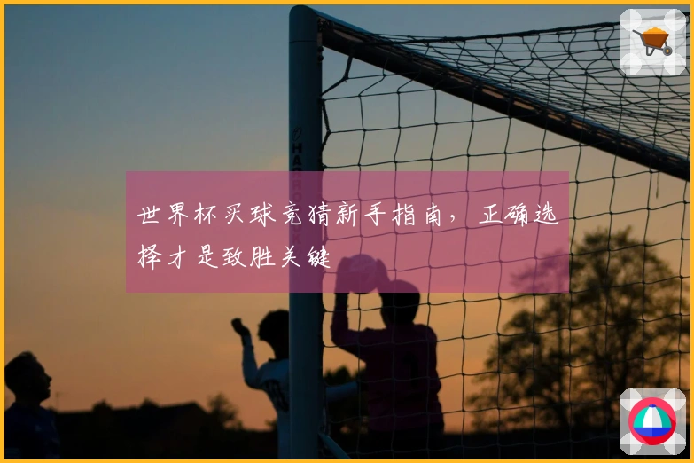 世界杯买球竞猜新手指南，正确选择才是致胜关键