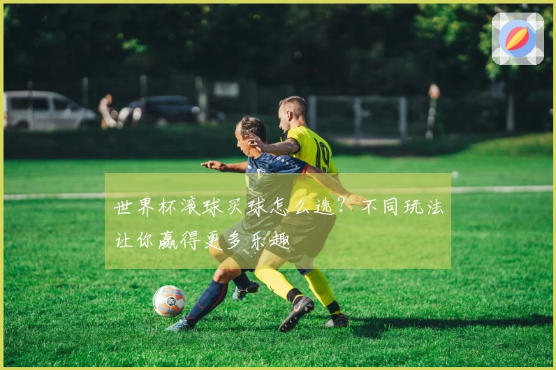 世界杯滚球买球怎么选？不同玩法让你赢得更多乐趣
