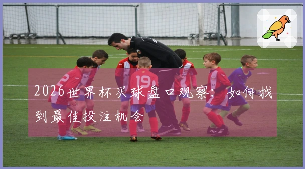 2026世界杯买球盘口观察：如何找到最佳投注机会