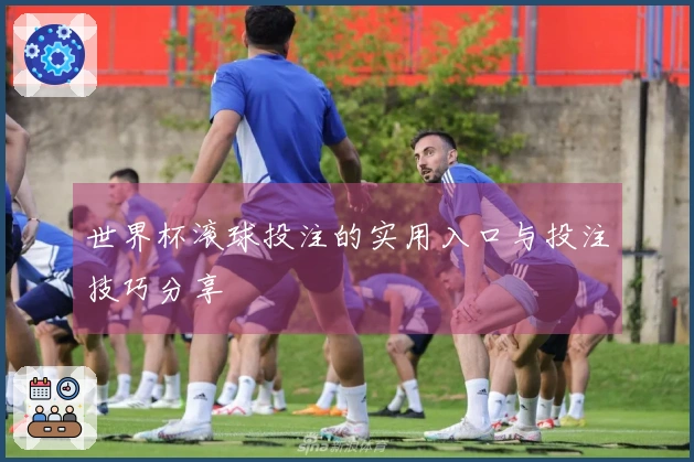 世界杯滚球投注的实用入口与投注技巧分享
