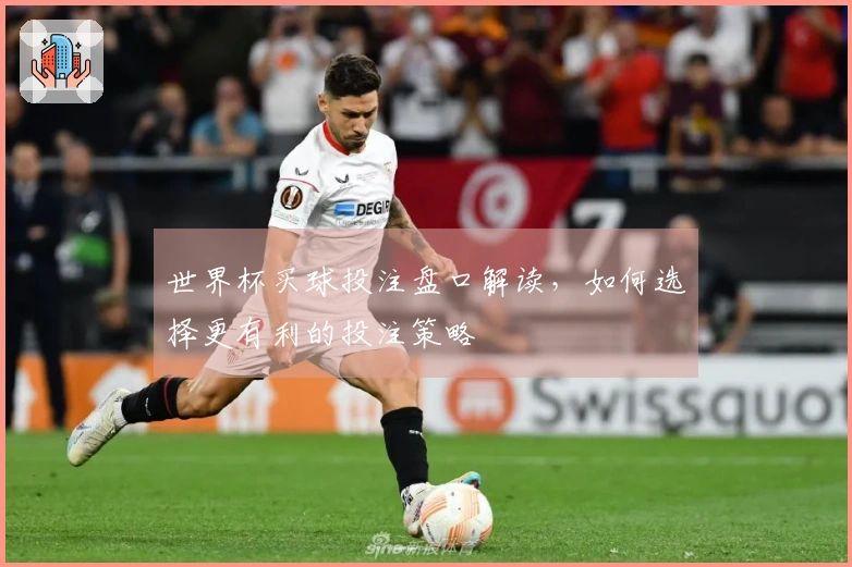 世界杯买球投注盘口解读，如何选择更有利的投注策略
