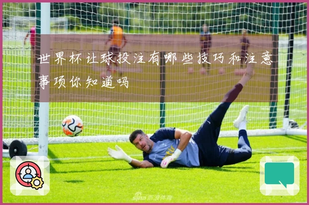 世界杯让球投注有哪些技巧和注意事项你知道吗