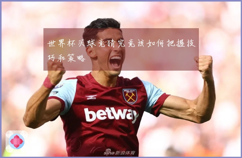 世界杯买球竞猜究竟该如何把握技巧和策略