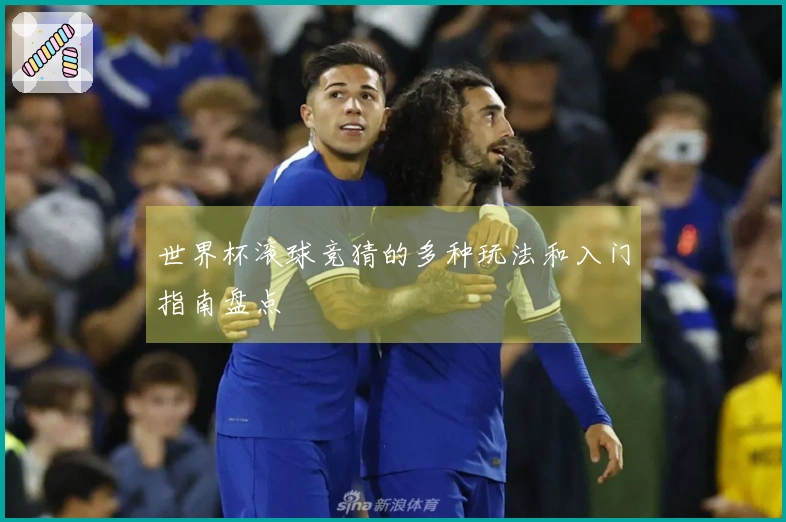 世界杯滚球竞猜的多种玩法和入门指南盘点