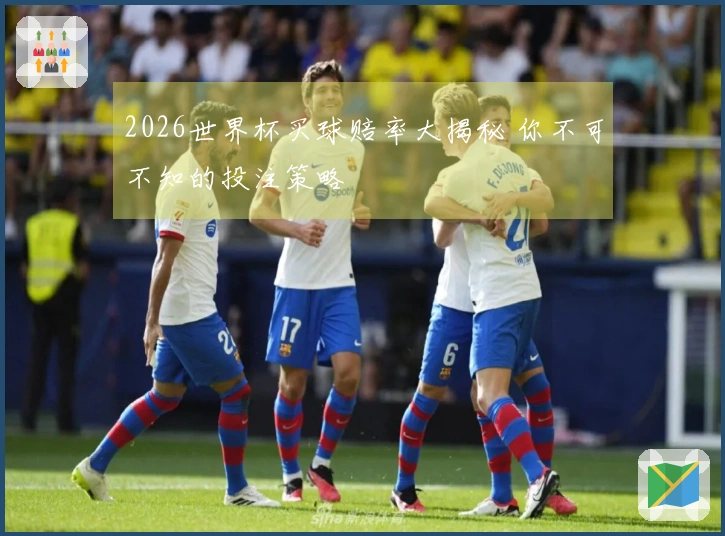 2026世界杯买球赔率大揭秘 你不可不知的投注策略