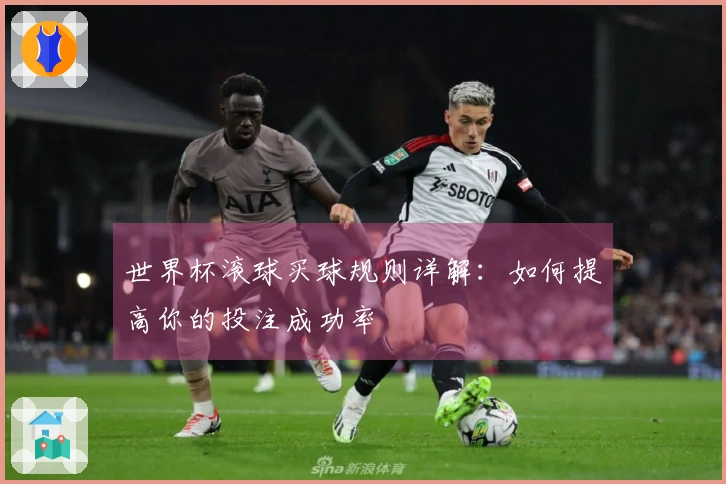 世界杯滚球买球规则详解：如何提高你的投注成功率